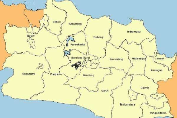 Kopi Indonesia Banyak Dicari di Jepang, Aroma dan Kualitas Jadi Perhatian