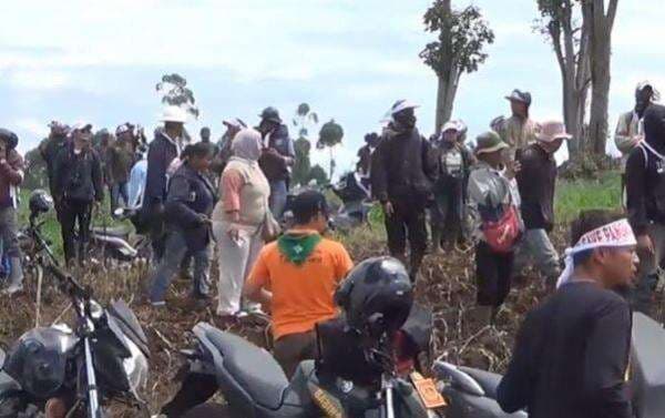 Viral Petani Pengalengan Protes Alih Fungsi Kebun Teh jadi Sayuran, Ini Kata PTPN