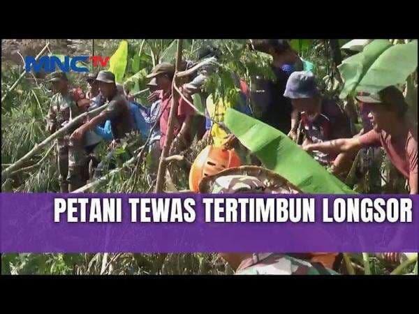 Petani Tewas Tertimbun Longsor Tebing 100 Meter di Brebes, Jasad Ditemukan Setelah Dua Hari