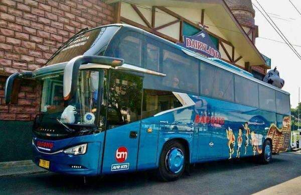 Bus Bagong Milik Siapa? Ini Dia Orangnya