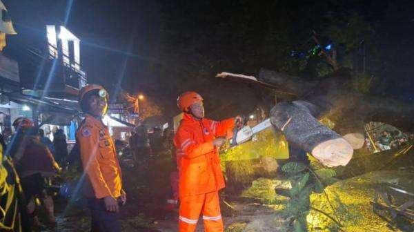 Pohon Tumbang di Gunung Putri Bogor Timpa Motor, 3 Orang Jadi Korban