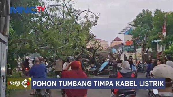 Pohon Kedongdong Tumbang Timpa Kabel dan Pos Keamanan di Cengkareng