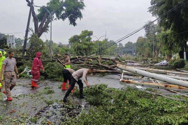 Hujan Angin Terjang Bogor, Sejumlah Pohon di Kompleks Pemkab Tumbang