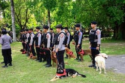 Polri Kerahkan Puluhan Anjing Pelacak K-9 Amankan KTT WWF 2024 di Bali