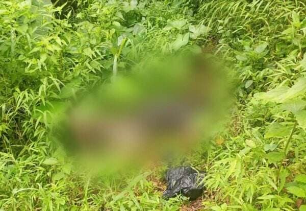 Pria Pembuang Sajen Ditemukan Tewas di Gunung Katu Malang, Ada 3 Luka Sayatan
