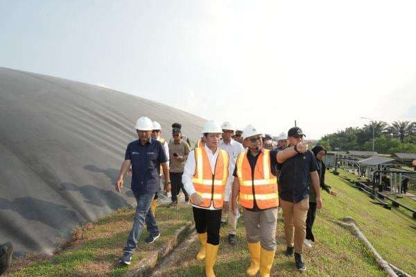 Pemerintah Minta Gapki Dorong Perusahaan Sawit Tiru PalmCo, Ini Alasannya