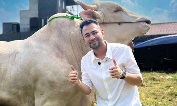 Tajir Melintir, Raffi Ahmad Kurban 22 Sapi dan 90 Ekor Domba di Idul Adha 2025