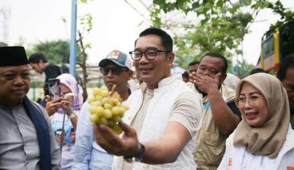 Ridwan Kamil Kunjungi Agro Eduwisata di Kembangan Jakbar, Paparkan Program Urban Farming Ridwan Kamil Kunjungi Agro Eduwisata di Kembangan Jakbar, Paparkan Program Urban Farming