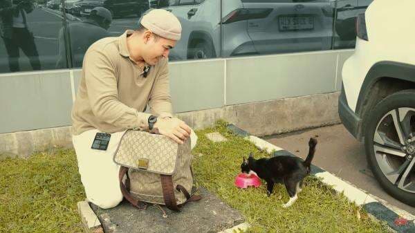 Peduli dengan Kucing, Robby Purba Ajak Street Feeding kepada Kucing Jalanan
