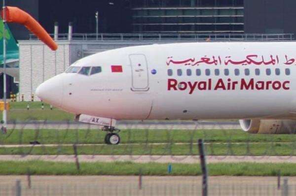 Parah! Koper Penumpang Tertahan Berhari-hari Gegara Pesawat Penuh KecoakÂ 