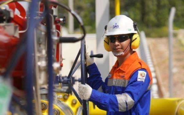 Siapa Pemilik Saham RAJA? Simak Struktur Kepemilikan di PT Rukun Raharja Tbk