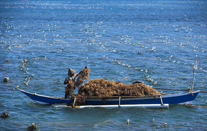 KKP Sebut Laut Timur Indonesia Punya Potensi Besar Tapi Rawan Illegal Fishing