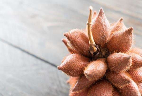 5 Buah-buahan yang Ternyata Berasal dari Jakarta, Ada Menteng dan Kecapi 5 Buah-buahan yang Ternyata Berasal dari Jakarta, Ada Menteng dan Kecapi