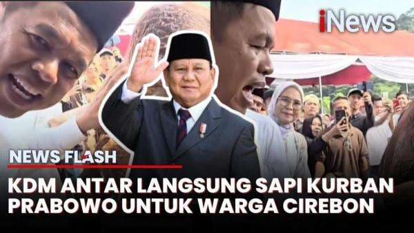 Diantar Langsung oleh Dedi Mulyadi, Ini Penampakan Sapi Kurban Prabowo untuk Warga Cirebon Diantar Langsung oleh Dedi Mulyadi, Ini Penampakan Sapi Kurban Prabowo untuk Warga Cirebon