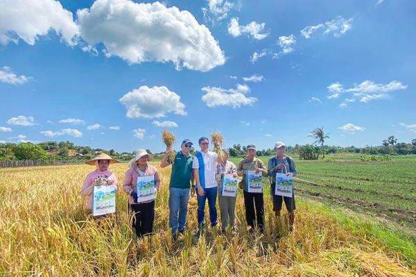 Cara Daftar E-RDKK Online: Langkah Mudah untuk Mendapatkan Pupuk Bersubsidi