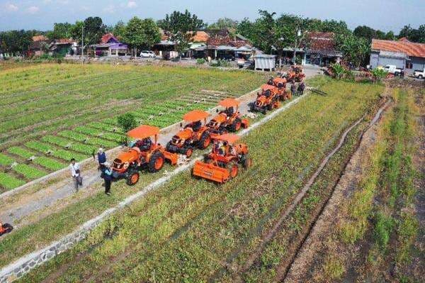 Wujudkan Swasembada Pangan, Kementan Gencarkan Percepatan Tanam di Berbagai Daerah
