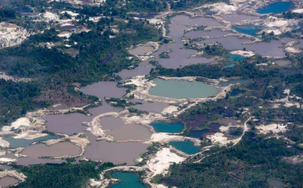 Jangan Jadi Warisan, Ini Cara Berantas Tambang Timah Ilegal di RI