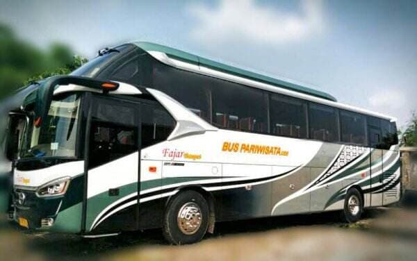 Terindikasi Banyak PO Bus Pariwisata Bodong Beredar, Ini Cara agar Tak Tertipu