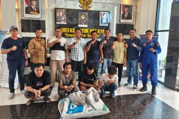 Polairud Polda Jambi Gagalkan Penyelundupan Sisik Trenggiling, 4 Pelaku Ditangkap