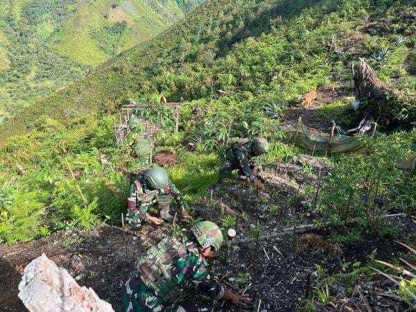 Di Lereng-Lereng, Satgas Yonif 715 Giatkan Program Ketahanan Pangan di Daerah Penugasan