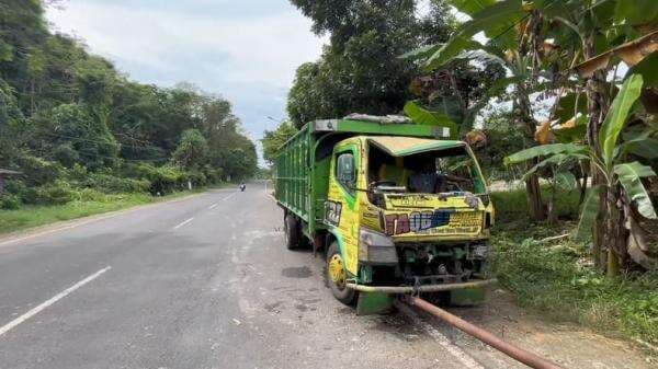 Pohon Tumbang Timpa Truk di Tuban, Kabin Ringsek