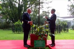 Usai Tanam Pohon Ulin, Presiden Jokowi Sopiri Gubernur Jenderal Australia Keliling KRB