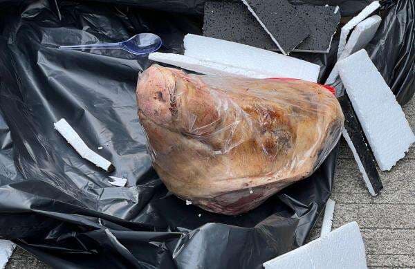 Teror Kepala Babi dan Bangkai Tikus di Kantor Tempo, PKB: Usut Tuntas!