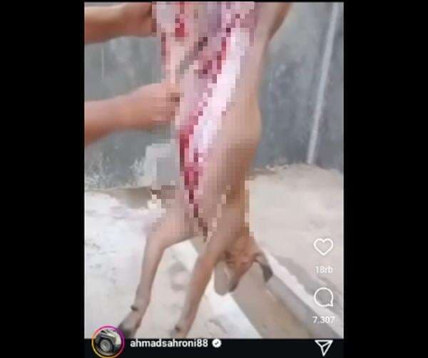 Heboh Sahroni Unggah Anjing Dikuliti Hidup-Hidup Diduga di Sragen, Polisi Beri Peringatan!