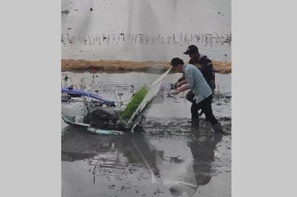 Viral Momen Gibran Turun ke Sawah Tanam Padi di Ngawi, Cara Jalannya Jadi Sorotan