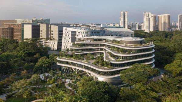 Wilmar di Pusaran Kasus CPO hingga Beras Oplosan, CGSI Pangkas Rekomendasi