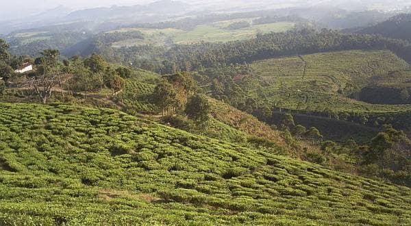 6 Tempat Wisata di Ngawi yang Lagi Hits, Patut Dikunjungi