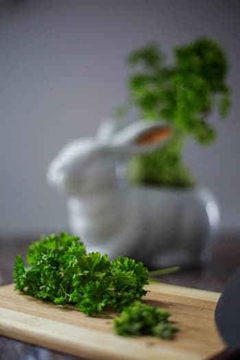Tak Hanya Sebatas Garnish, Inilah Manfaat Parsley untuk Kesehatan yang Jarang Diketahui Tak Hanya Sebatas Garnish, Inilah Manfaat Parsley untuk Kesehatan yang Jarang Diketahui