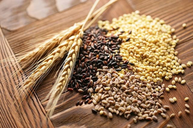 Konflik Timteng Picu Krisis Pupuk, Produksi Gandum Australia Anjlok Konflik Timteng Picu Krisis Pupuk, Produksi Gandum Australia Anjlok