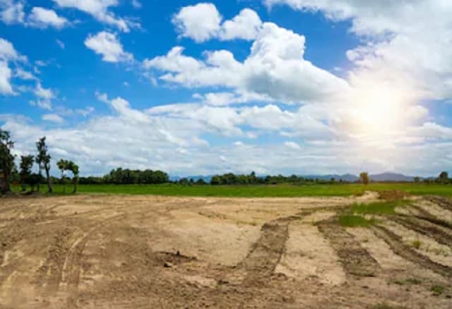 Kawasan Transmigrasi Disiapkan Jadi Sumber Ekonomi Baru Berbasis Ekspor, Ini Potensinya Kawasan Transmigrasi Disiapkan Jadi Sumber Ekonomi Baru Berbasis Ekspor, Ini Potensinya