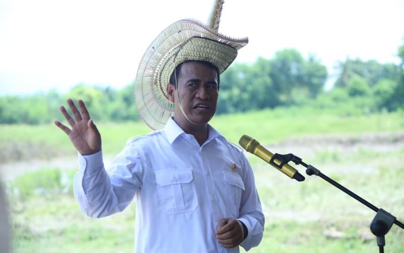 Mentan Sebut Swasembada Pangan Bisa Terwujud 2-3 Bulan Lagi Mentan Sebut Swasembada Pangan Bisa Terwujud 2-3 Bulan Lagi