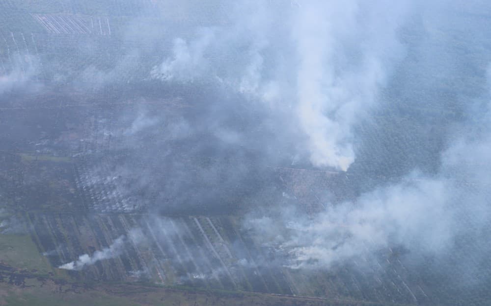 Ancaman Karhutla Besar Berpotensi Terjadi di 2027 Imbas Siklus Empat Tahunan Musim Kering Ancaman Karhutla Besar Berpotensi Terjadi di 2027 Imbas Siklus Empat Tahunan Musim Kering