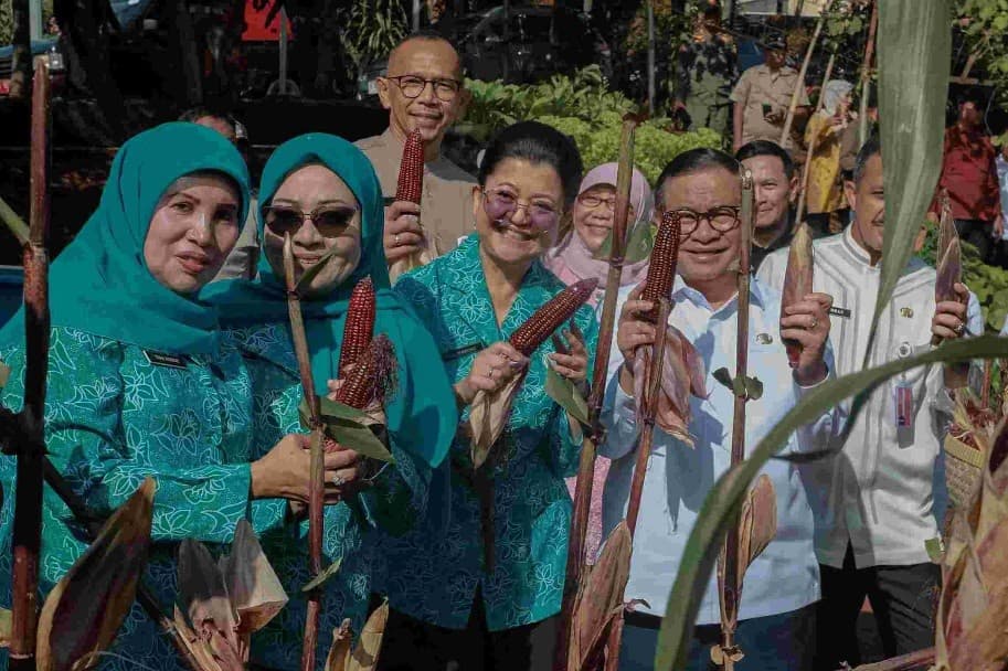 Pramono Panen 1,22 Ton Jagung Pulut dan 579 Kg Ikan Patin di Urban Farming Pesanggrahan Pramono Panen 1,22 Ton Jagung Pulut dan 579 Kg Ikan Patin di Urban Farming Pesanggrahan