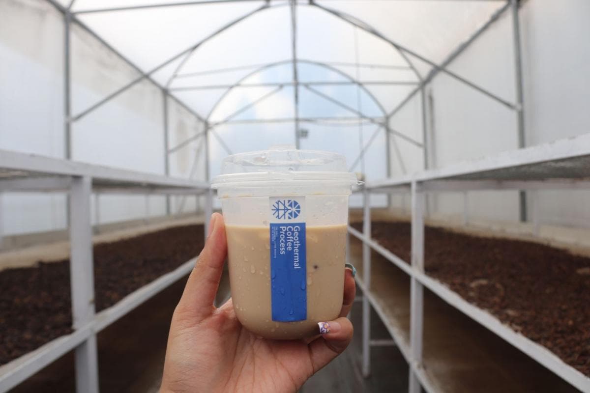 Manfaatkan Panas Bumi PGE, Kopi Kamojang Punya Rasa Unik hingga Diekspor ke Asia dan Eropa Manfaatkan Panas Bumi PGE, Kopi Kamojang Punya Rasa Unik hingga Diekspor ke Asia dan Eropa