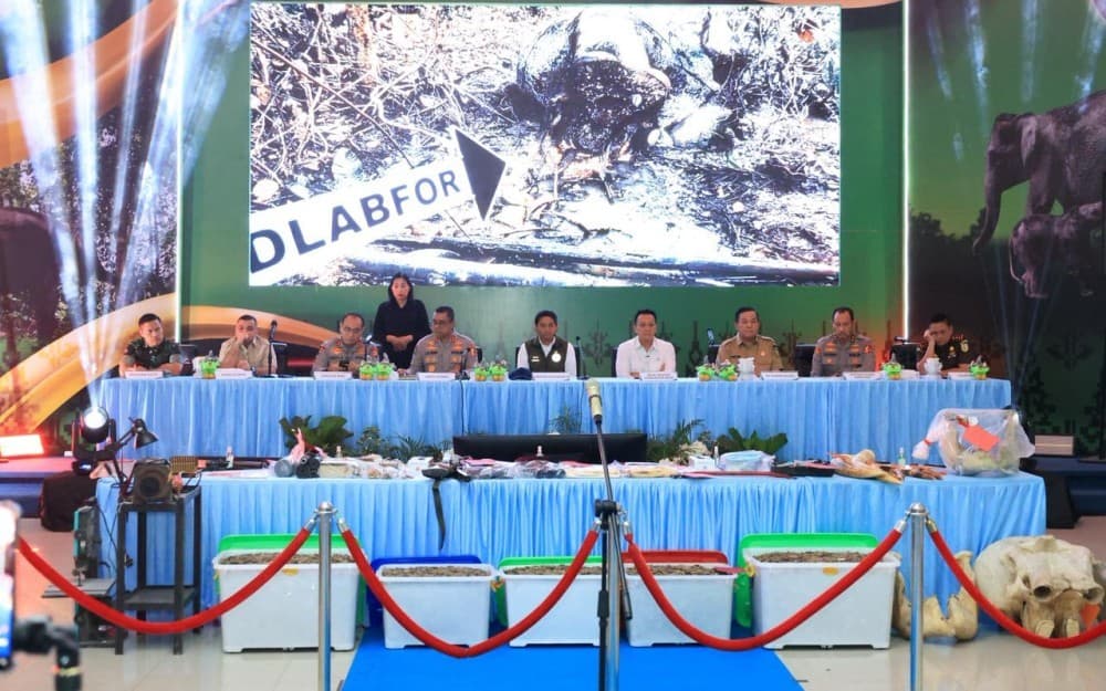 Polri Bongkar Jaringan Perburuan Gajah Sumatera, 15 Orang Diamankan Polri Bongkar Jaringan Perburuan Gajah Sumatera, 15 Orang Diamankan