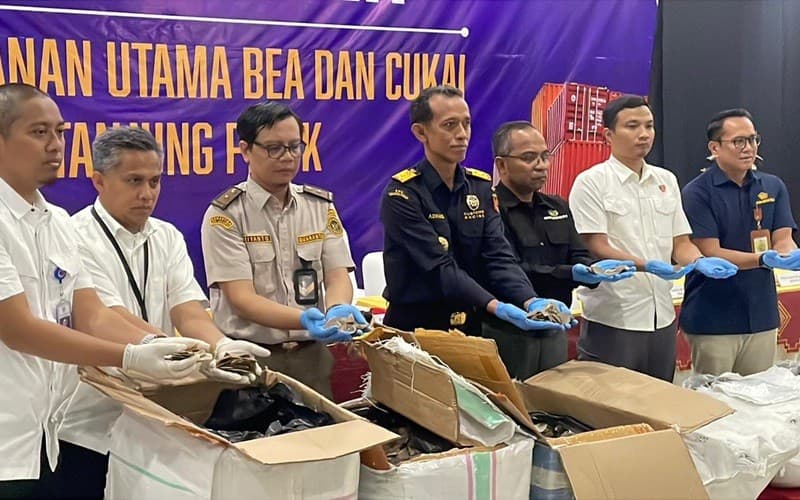 Bea Cukai Tanjung Priok Gagalkan Ekspor Sisik Trenggiling Senilai Rp183 Miliar Bea Cukai Tanjung Priok Gagalkan Ekspor Sisik Trenggiling Senilai Rp183 Miliar