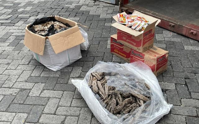 Bea Cukai Gagalkan Ekspor Sisik Trenggiling, Begini Modusnya Bea Cukai Gagalkan Ekspor Sisik Trenggiling, Begini Modusnya