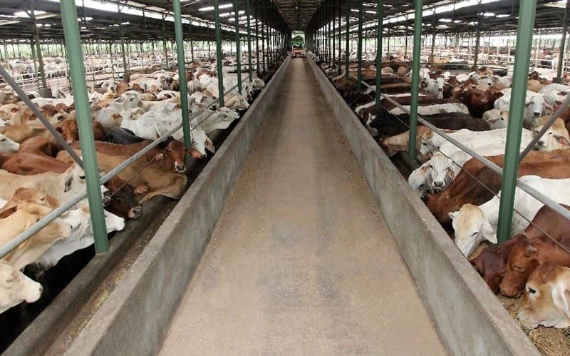 WMPP Gelar Right Issue demi Kurangi Utang WMPP Gelar Right Issue demi Kurangi Utang