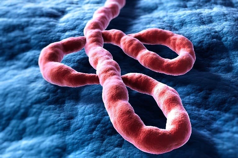 Belum Ada Kasus Ebola di Indonesia, Kemenkes Tetap Tingkatkan Pengawasan dan Skrining Belum Ada Kasus Ebola di Indonesia, Kemenkes Tetap Tingkatkan Pengawasan dan Skrining