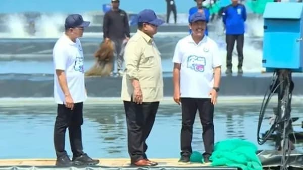 Prabowo Panen Raya Udang Vaname Seluas 100 Hektare di Kebumen Prabowo Panen Raya Udang Vaname Seluas 100 Hektare di Kebumen