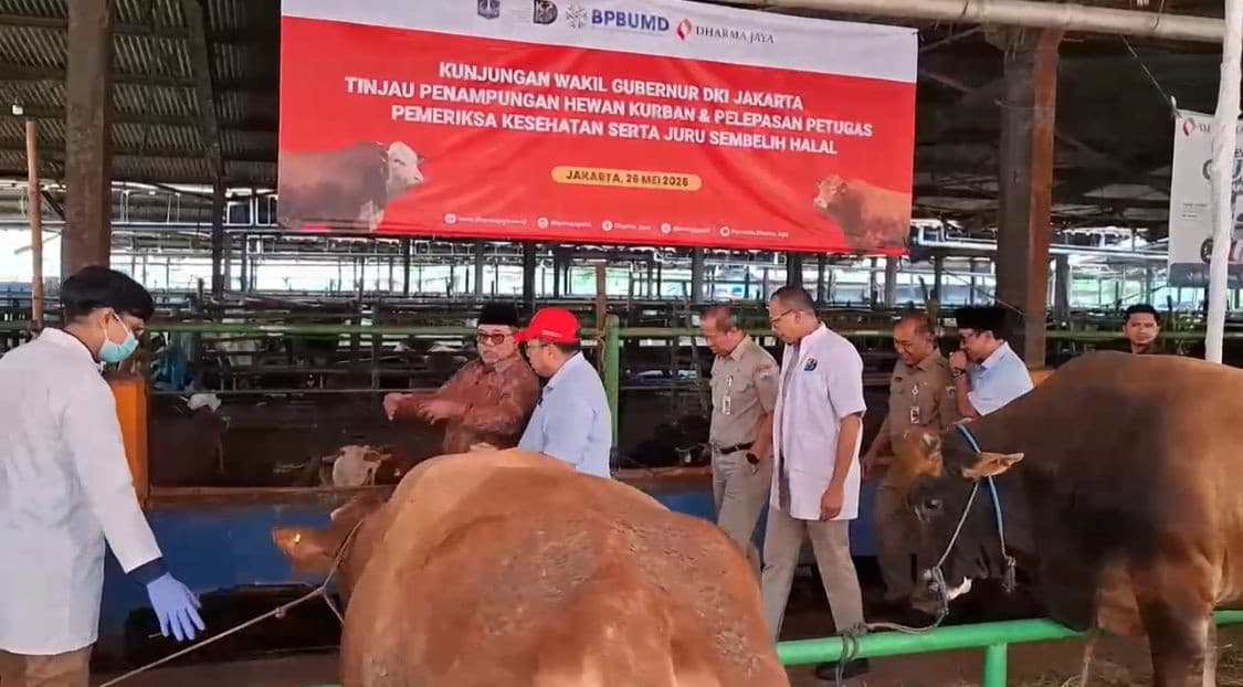 68 Ribu Hewan Kurban Iduladha 2026 akan Disembelih di Jakarta 68 Ribu Hewan Kurban Iduladha 2026 akan Disembelih di Jakarta