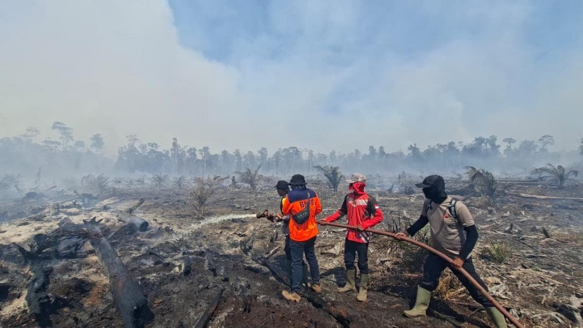 Karhutla di Aceh dan Riau, Lebih dari 15 Ribu Hektare Lahan Terbakar Karhutla di Aceh dan Riau, Lebih dari 15 Ribu Hektare Lahan Terbakar