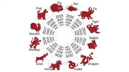 Simak Pekerjaan dan Bisnis yang Cocok Menurut Shio, Siap Ambil Keuntungan Simak Pekerjaan dan Bisnis yang Cocok Menurut Shio, Siap Ambil Keuntungan
