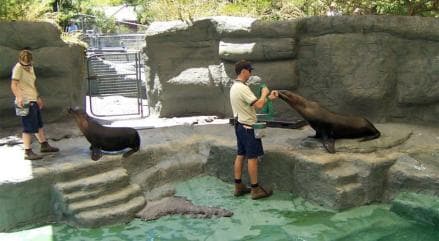 Intip Gaji Penjaga Kebun Binatang yang Berisiko Tinggi Intip Gaji Penjaga Kebun Binatang yang Berisiko Tinggi