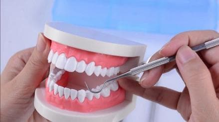 Intip Harga Cabut Gigi di Puskesmas Tanpa BPJS, Sampai Berapa? Intip Harga Cabut Gigi di Puskesmas Tanpa BPJS, Sampai Berapa?