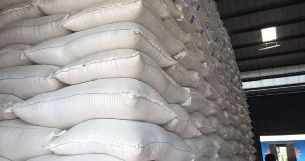 Bansos Beras Dilanjutkan 15 Februari 2024, Bulog Siapkan 240 Ribu Ton Bansos Beras Dilanjutkan 15 Februari 2024, Bulog Siapkan 240 Ribu Ton